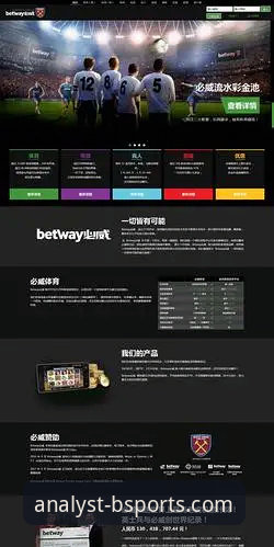 新手必看！必威体育平台bsports官网专业版使用心得与实战经验